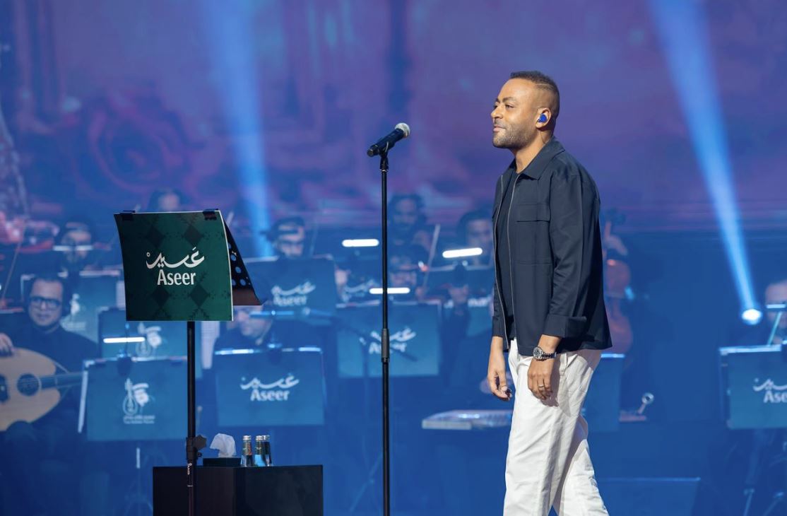 الفنان تامر عاشور